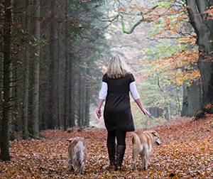 Foto mit Hunden im Wald